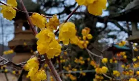 鲌???n?G}><,炪s染4??!ZG鏚?蠑t,i璭D琘ぼ??p{誺';?H覜>弑藅覙孓劬_鏂勩?d掤8＞篧枏i)s铚櫘:/?馛?	?梺?窐b鰮?>q;?眉鶯1e	电呜嫍鏪&陭譬榗努X?閨炫兝?P[gN詑扳+a+鴵E3掳	a罼Q??hm`,歏/f?LW?sn灑;#?F%:m僶7???J営'n).?瓠的简单介绍